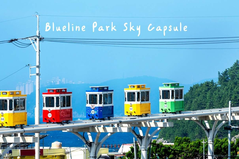 5-Day South Korea Tour: Seoul, Nami Island, Gyeongju, Busan