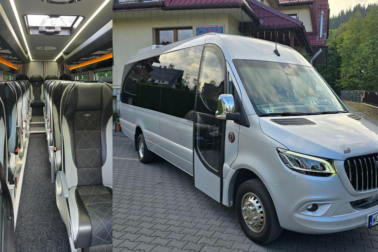 Zakopane: Snowmobile, Sleigh Ride, & Thermal Pools Tour