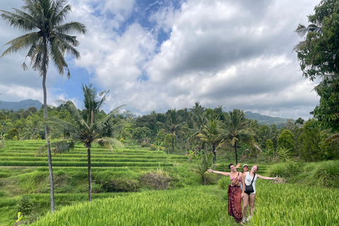 Desde el Norte de Bali Excursión a la Cascada de Aling Aling y la Laguna AzulTour privado