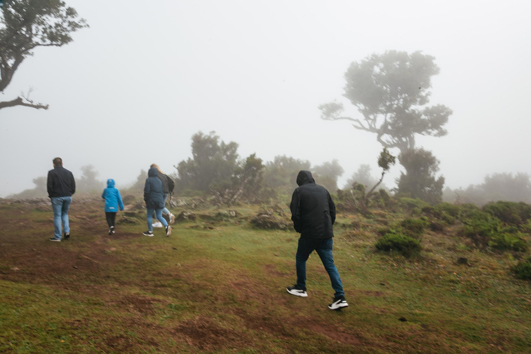 Funchal: Porto Moniz, Foresta di Fanal e Cabo Girao Jeep TourTour condiviso