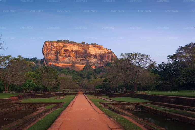 1 DAY Sigiriya, Dambulla, and Village Tour