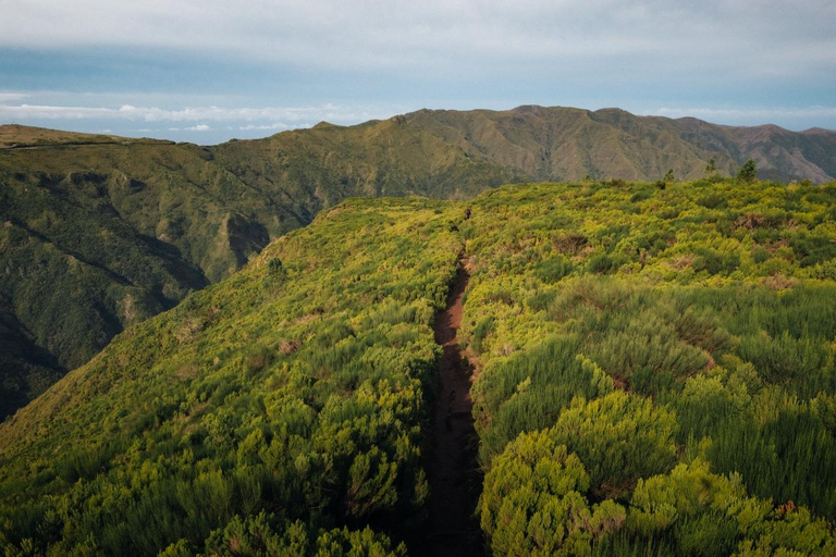 Funchal: Vereda do Fanal PR13 Hiking with Transfer & Guide