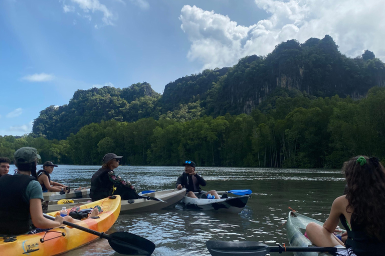 Langkawi: Aventura en kayak por los manglares de Kilim Karst