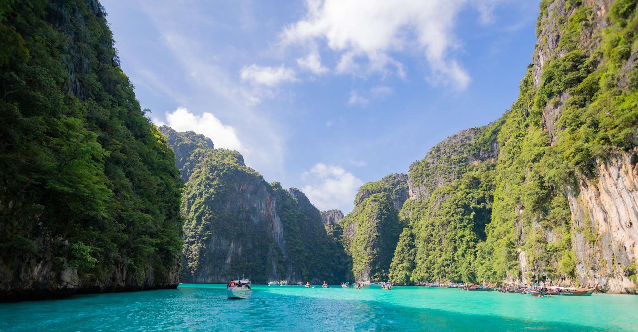 Phi Phi Island, Maya Bay Sunset & Plankton Speedboat Tour - Housity