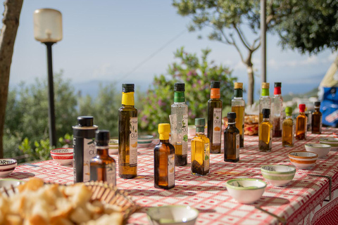 Sorrento: Lemons grove, Farm Tour&Tasting and Pizza Class Sorrento Coast: Enogastronomic Tour with Show & Tasting
