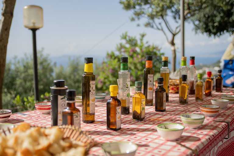 Sorrento: Lemons grove, Farm Tour&Tasting and Pizza Class Sorrento Coast: Enogastronomic Tour with Show & Tasting