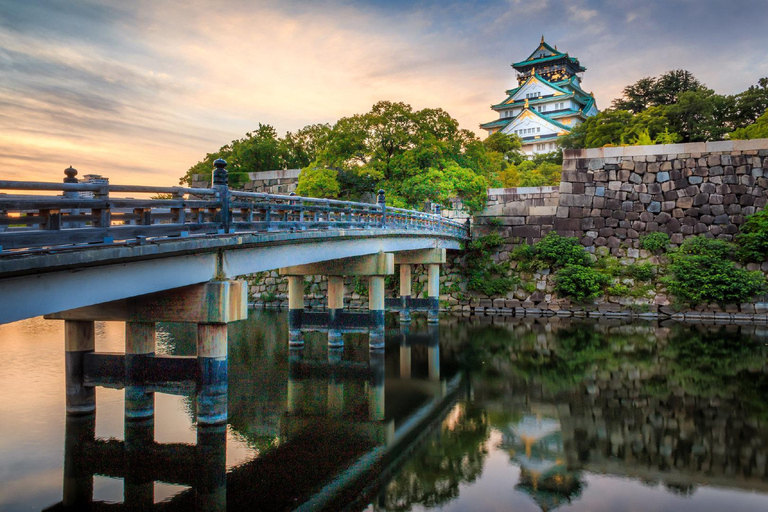 En dags privat anpassad självguidad rundtur i OsakaEn dags privat skräddarsydd rundtur med egen guide i Osaka