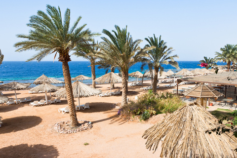 Aqaba: Taucherlebnis mit privatem Strand- und Poolzugang