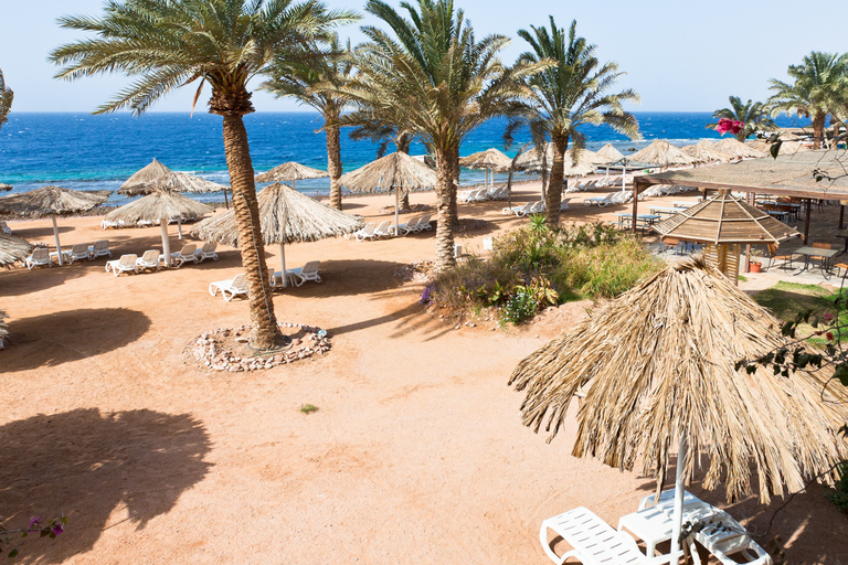 Aqaba : Diving Experience with Private Beach & Pool Access