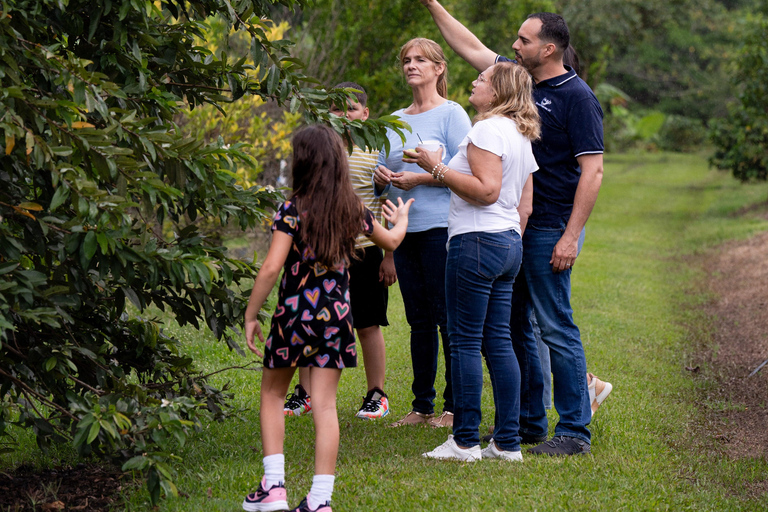Jayuya : Visite et atelier sur le café à l'Hacienda Prosperidad