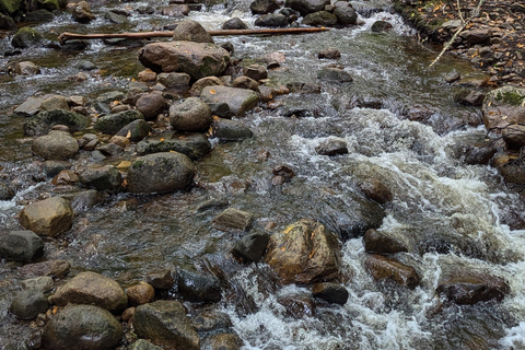 All-Inclusive Guided Hike to Jacques-Cartier National Park All-Inclusive Guided Hiking Tour