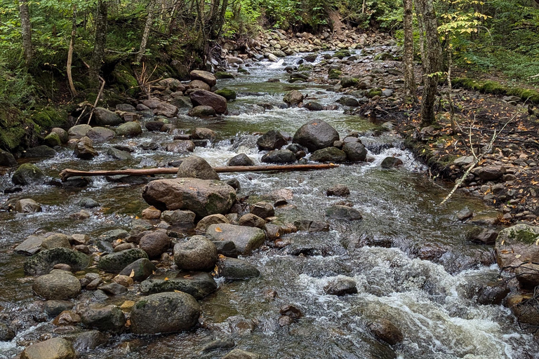 All-Inclusive Guided Hike to Jacques-Cartier National Park All-Inclusive Guided Hiking Tour