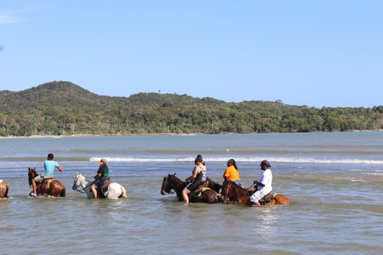 Strand paardrijden en platteland