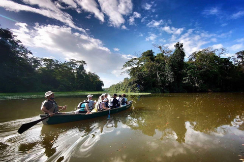 From San José: Tortuguero National Park Day Trip & Boat Tour