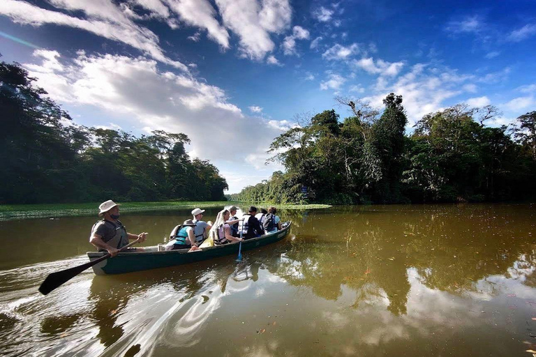 From San José: Tortuguero National Park Day Trip & Boat Tour