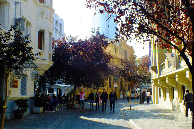 Discover Santiago Half Day Guided Tour Included Local Snack