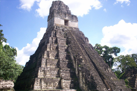 From Flores: Tikal Ruins Sunrise Guided Tour