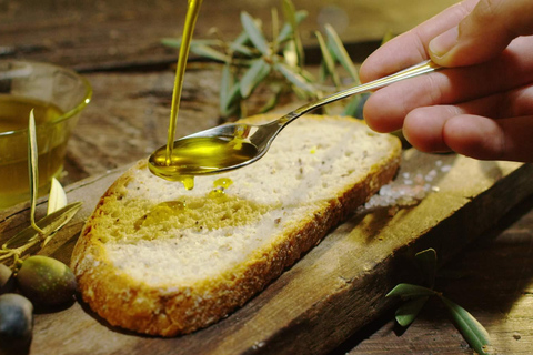 Secret Zriba Olia: Berber encounter and authentic food tasting