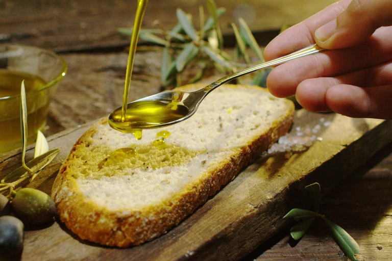 Secret Zriba Olia: Berber encounter and authentic food tasting