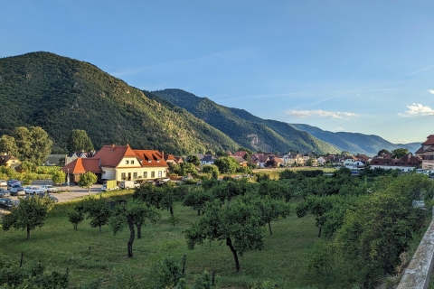 Wenen: privékajak- en wijntour door de Wachau-vallei