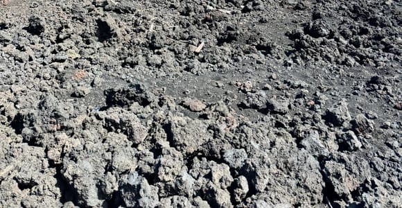 Etna Nord: Meet your guide on site and go trekking among the craters