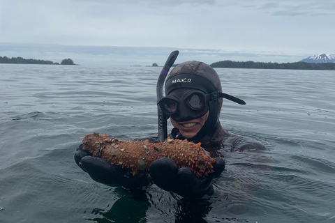 Sitka: Kelp Forest Snorkel Tour