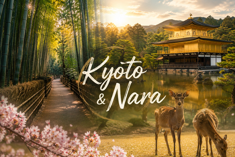 3/5/7 Days Private Japan Tour with English Speaking Guide 3 Days Private Tokyo or Kyoto Tour with English Guide
