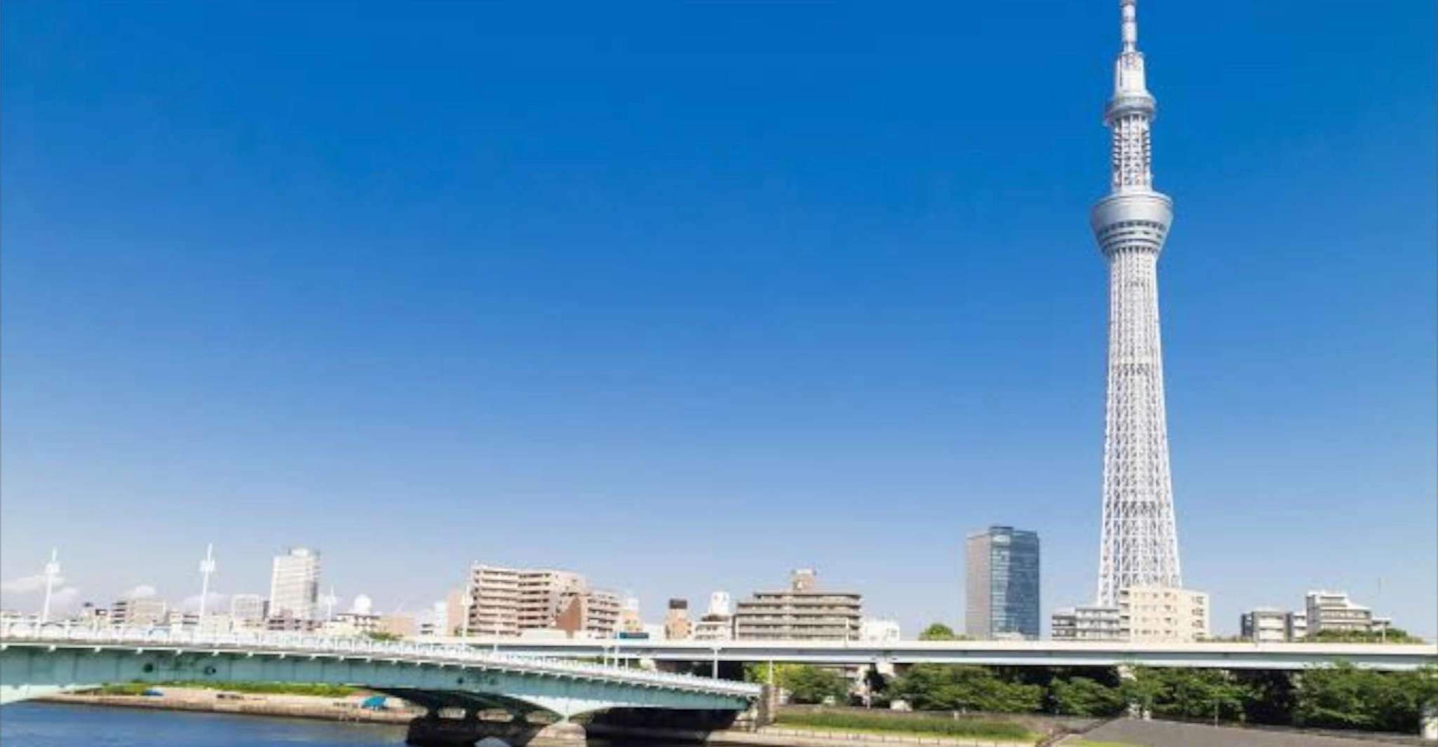 Tokyo, tour privato di mezza giornata con esperti locali - Hizvo