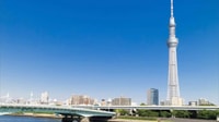 Tokyo, Visite privée d'une demi-journée avec un expert local - Hizvo
