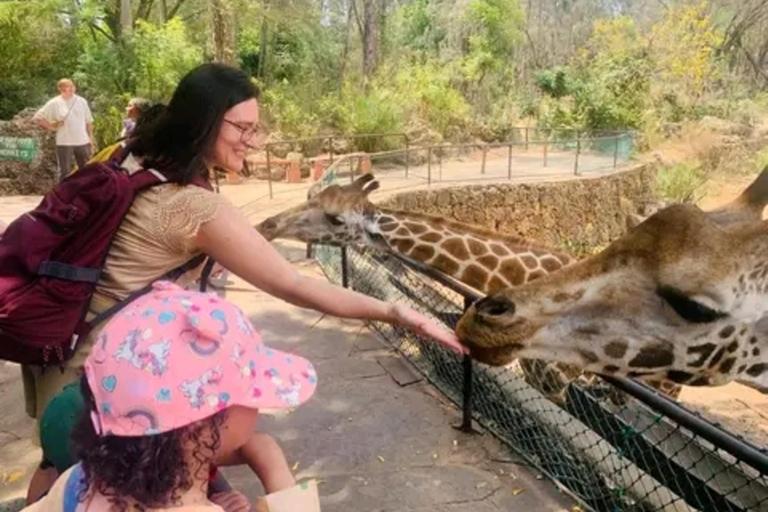 Mombasa: Half-Day Haller Park Giraffes Feeding Experience
