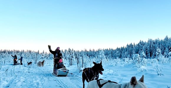 Rovaniemi: Husky Safari with Transfers & BBQ