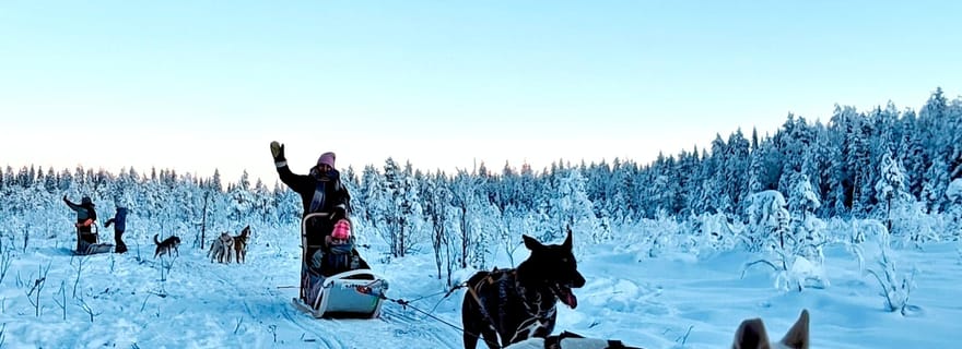 Rovaniemi : safari husky avec transferts et barbecue