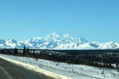 Fairbanks: Całodniowa wycieczka Denali Winter Adventure Tour