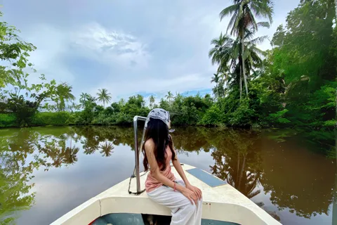 Bongawan River Cruise: Proboscis Monkey & Fireflies Viewing