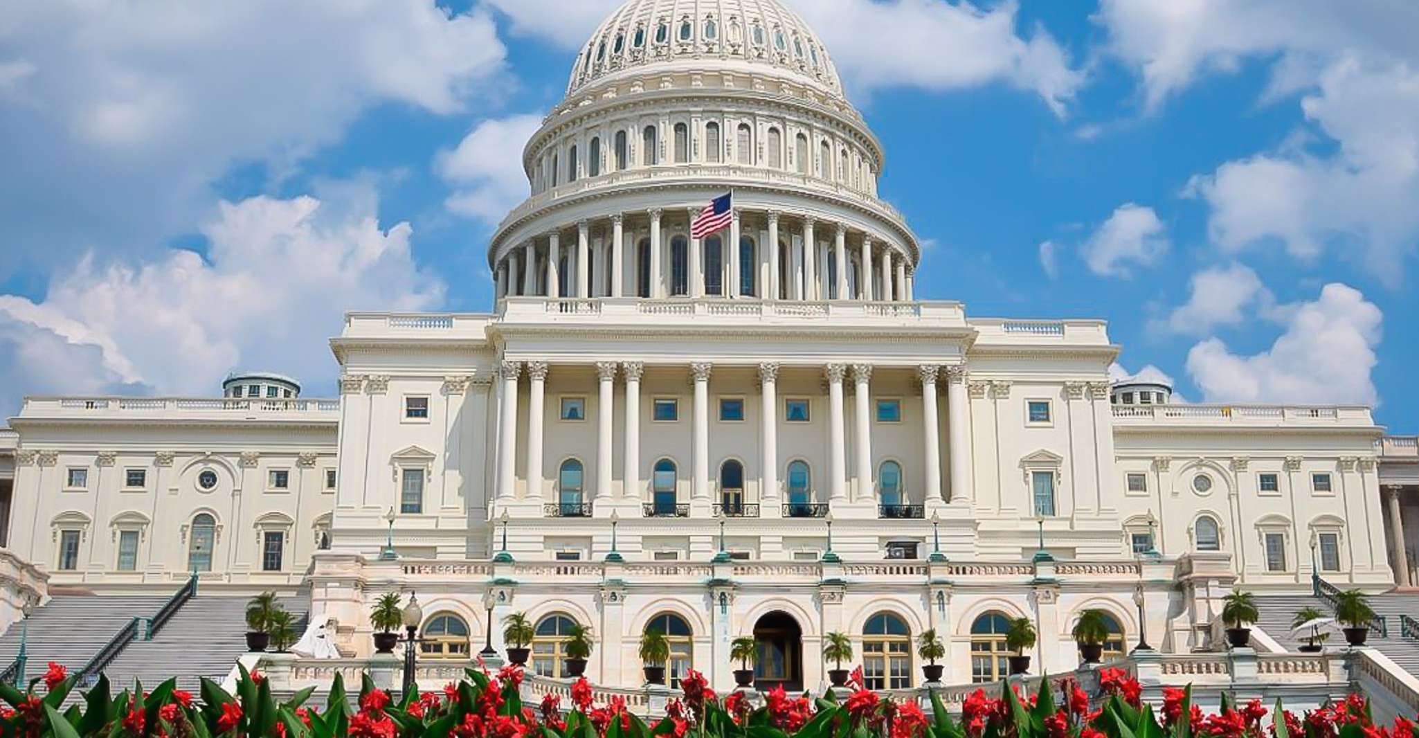 From NYC: Guided Day Trip to Washington DC by Van or Bus