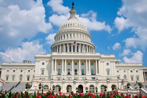 Desde NYC: Excursión de un día con guía a Washington DC en furgoneta o autobús