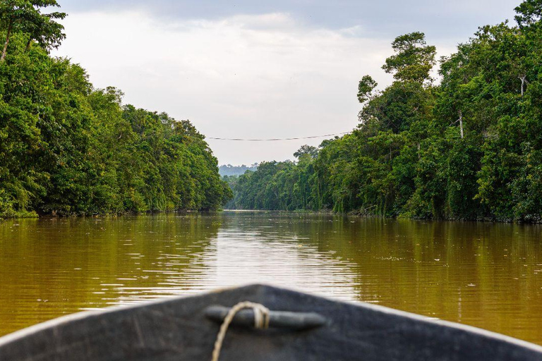 Kinabatangan River Trip from Sandakan with Lunch Included (Shared Tour) Kinabatangan River Trip Sandakan with Lunch