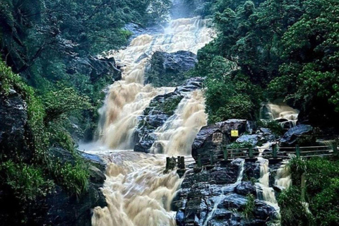 Ella: Ella Day Tour NineArch Bridge with Expert Female Guide Ella tour from Colombo, Negombo, Mt lavinia, Kalutara