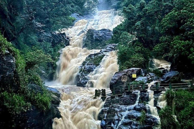 Ella: Ella Day Tour NineArch Bridge with Expert Female Guide Ella tour from Colombo, Negombo, Mt lavinia, Kalutara