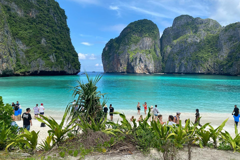 Ko Phi Phi Don : Excursion en bateau rapide avec plongée en apnée avec les requins