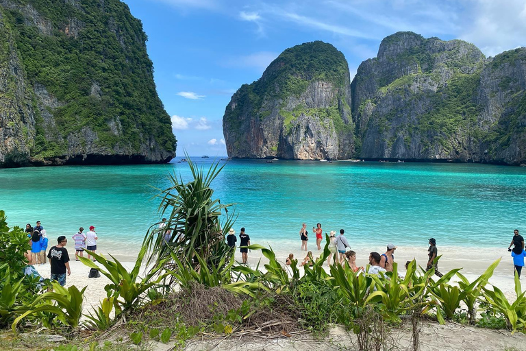 Ko Phi Phi Don: Dagstur med motorbåt och snorkling med hajar