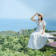 Private Car Tour of Koh Tao 8 Viewpoints & Beach