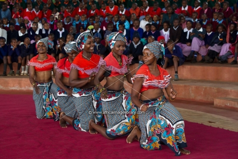 Ab Nairobi: Bomas of Kenya Cultural Dance Tour und Show