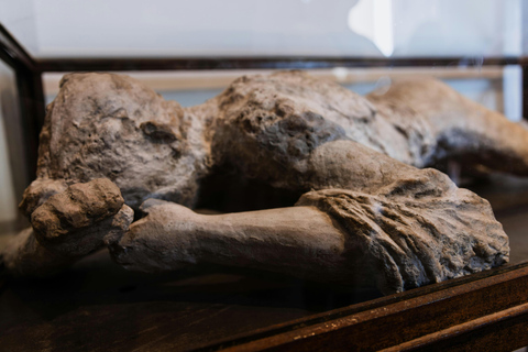 Naples: Pompeii and Mount Vesuvius Tour with Tickets