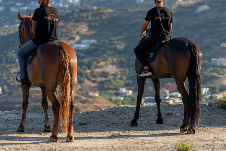 Crète : Excursion à cheval dans le panorama de Plakias