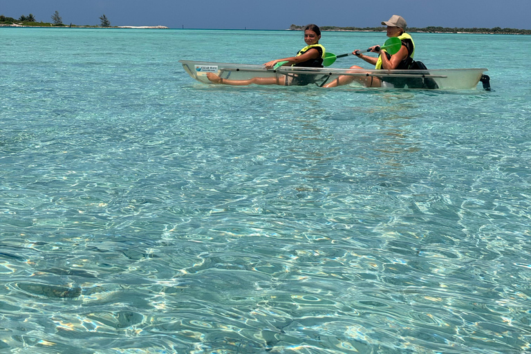 Providenciales Mangrove Kayak Tour With Turtle Sightings