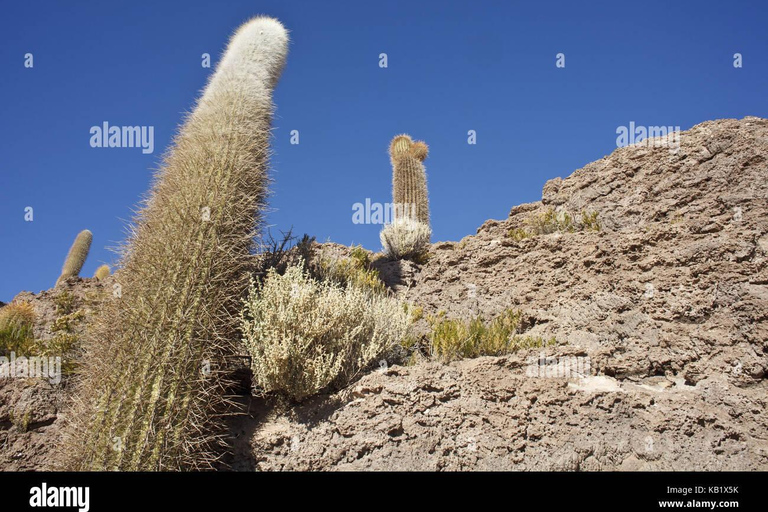 Excursión de varios días privada al Salar de Uyuni en Bolivia