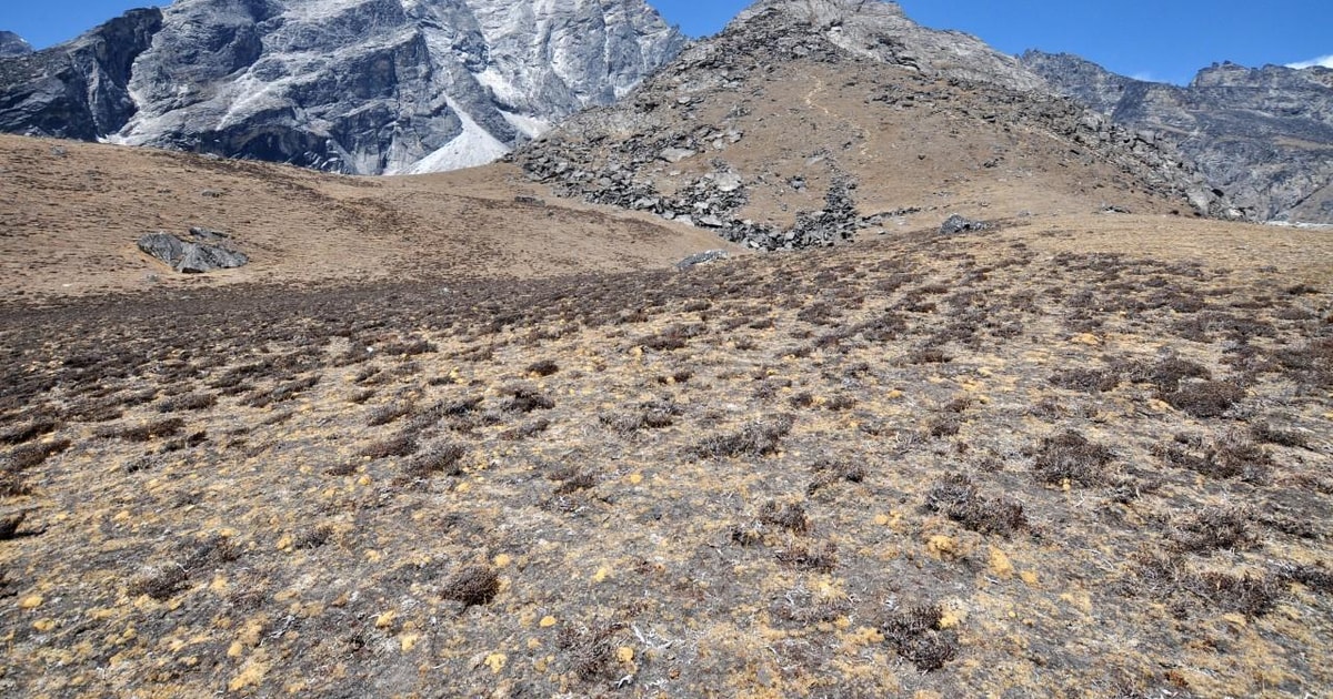 Beklimming Lobuche West Peak 2025/2026 | GetYourGuide