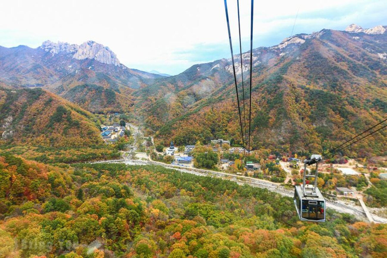 From Seoul: Seoraksan, Naksansa & Naksan Beach Private Tour Group Tour Option Only Thursday