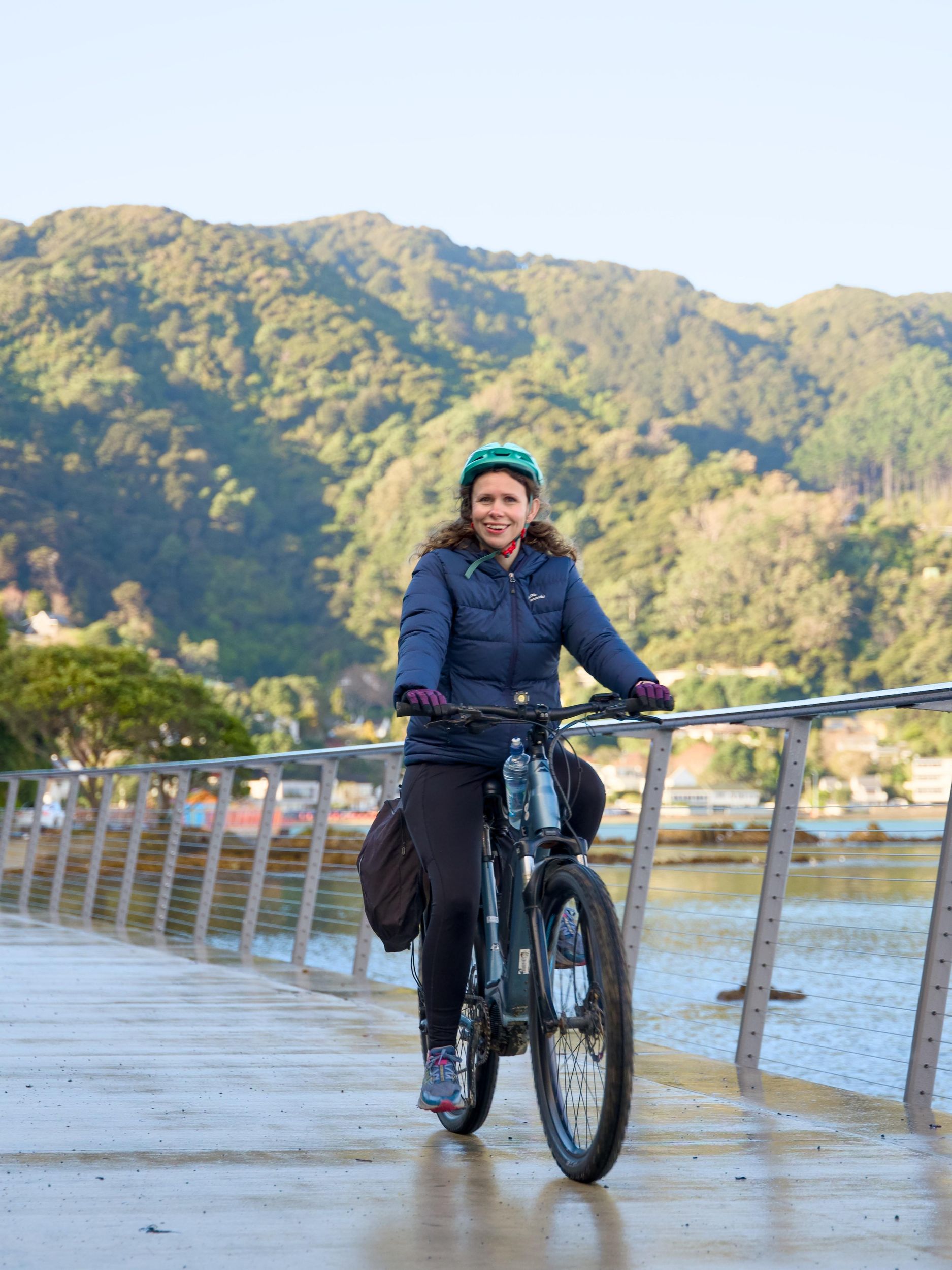 Wellington: Fähre und dann E-Bike-Tour durch den Hafen